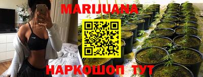молекула духа Шелехов