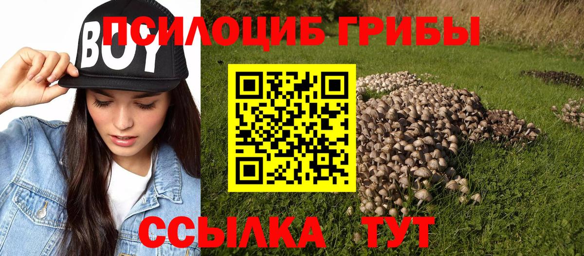 Псилоцибиновые грибы прущие грибы  Псилоцибиновые грибы мицелий  Вход с VPN  Уварово 